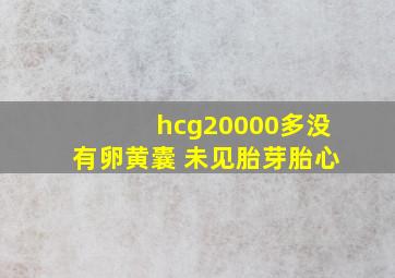 hcg20000多没有卵黄囊 未见胎芽胎心